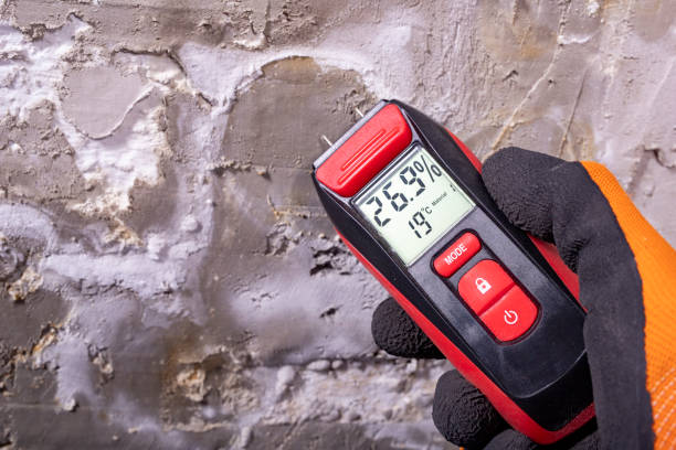 Best Best Mold Removal Companies  in Garberville, CA