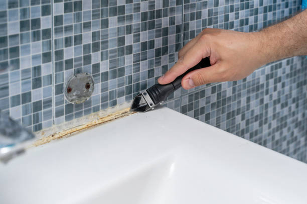 Best Same-Day Mold Removal  in Garberville, CA