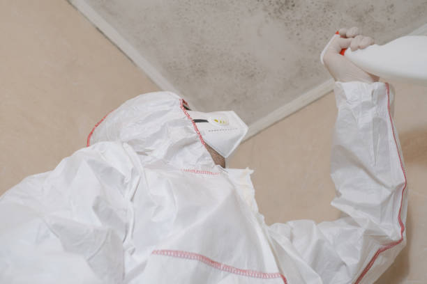Best Mold Testing  in Garberville, CA