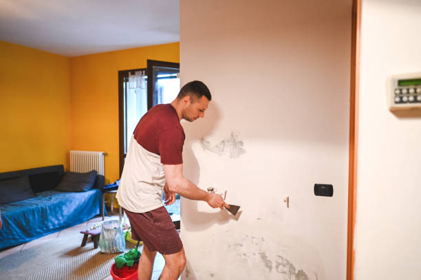 Best Affordable Mold Removal  in Garberville, CA